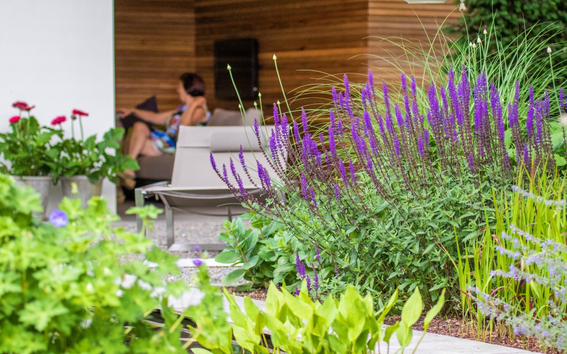 Reportage over groene tuin met luxe overkapping