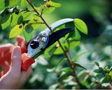 Stroop de mouwen op: tuinonderhoud!