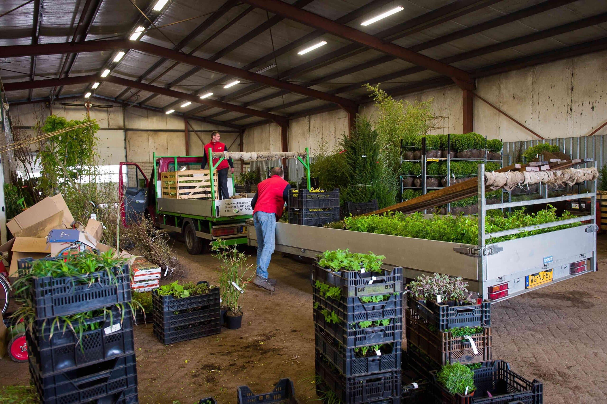 Het plantseizoen voor bomen: bijna voorbij