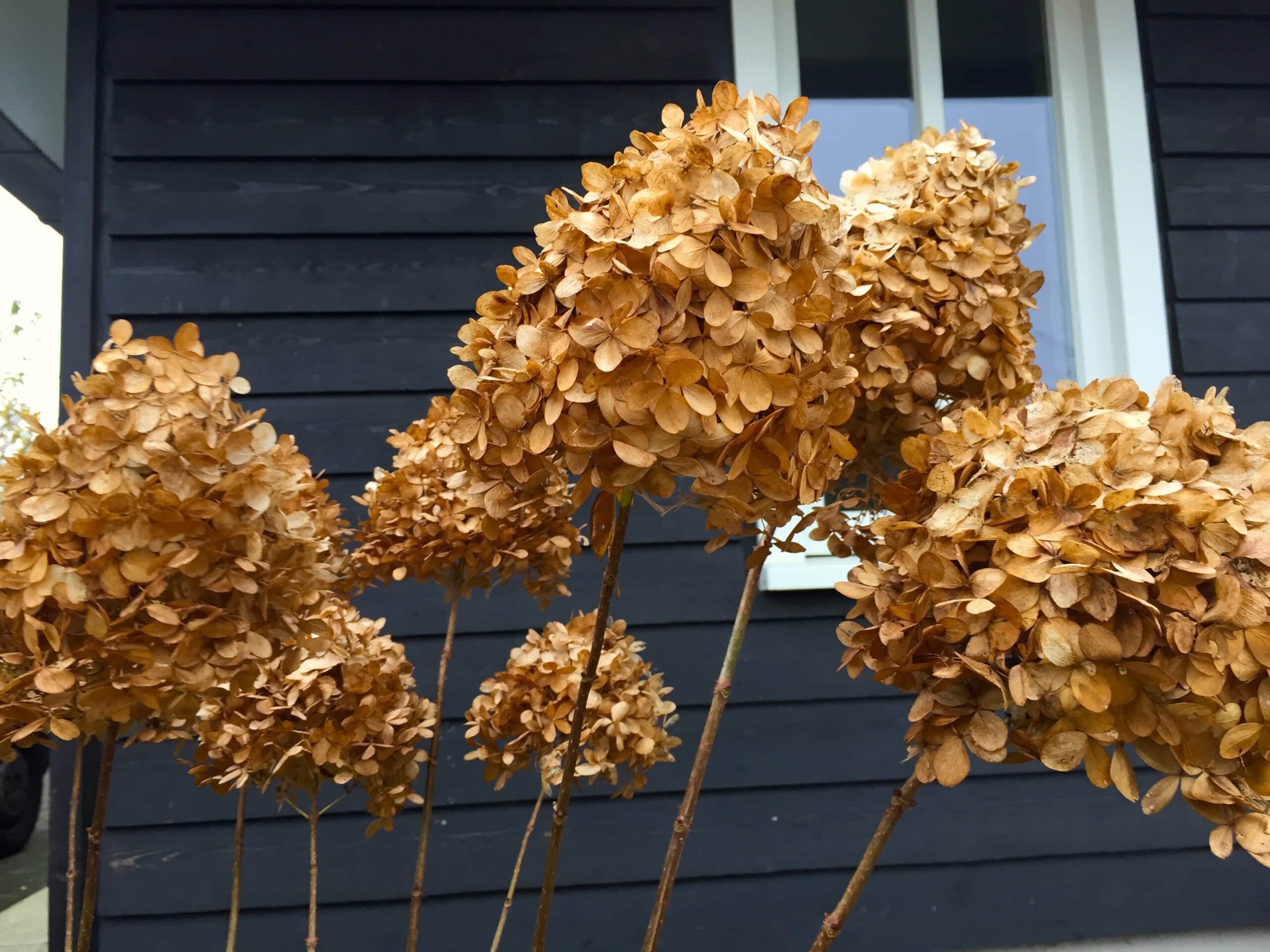 De winterbeurt is dood: leve de winterbeurt!